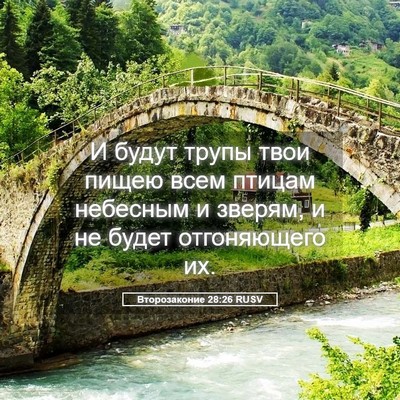 Picture 05 - Второзаконие 28:26 RUSV - И будут трупы твои пищею - Bible Verse Picture