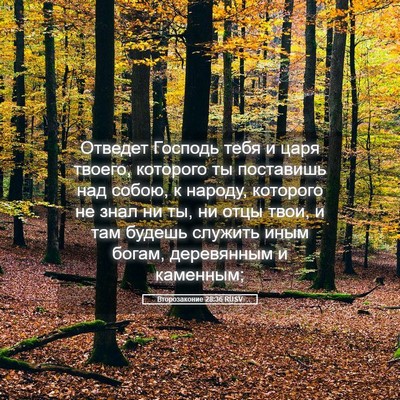 Picture 05 - Второзаконие 28:36 RUSV - Отведет Господь тебя и - Bible Verse Picture