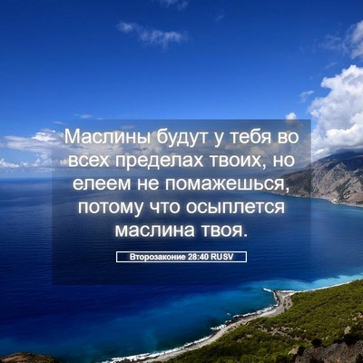 Picture 05 - Второзаконие 28:40 RUSV - Маслины будут у тебя во - Bible Verse Picture