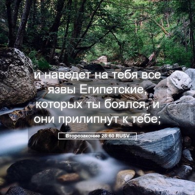Picture 05 - Второзаконие 28:60 RUSV - и наведет на тебя все язвы - Bible Verse Picture