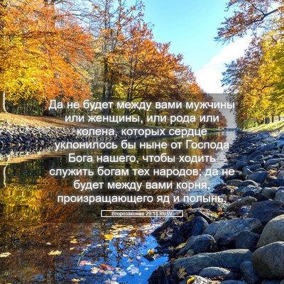 Picture 05 - Второзаконие 29:18 RUSV - Да не будет между вами - Bible Verse Picture