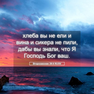 Picture 05 - Второзаконие 29:6 RUSV - хлеба вы не ели и вина и - Bible Verse Picture