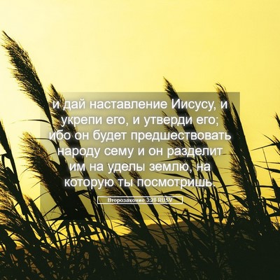 Picture 05 - Второзаконие 3:28 RUSV - и дай наставление Иисусу, и - Bible Verse Picture