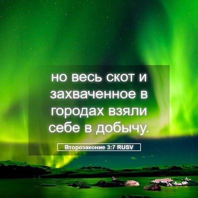 Picture 05 - Второзаконие 3:7 RUSV - но весь скот и захваченное - Bible Verse Picture