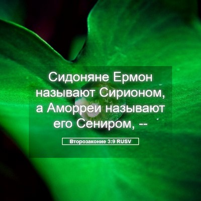 Picture 05 - Второзаконие 3:9 RUSV - Сидоняне Ермон называют - Bible Verse Picture