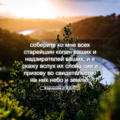Picture 05 - Второзаконие 31:28 RUSV - соберите ко мне всех - Bible Verse Picture