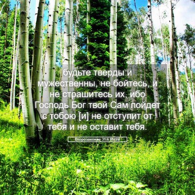 Picture 05 - Второзаконие 31:6 RUSV - будьте тверды и - Bible Verse Picture