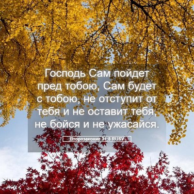 Picture 05 - Второзаконие 31:8 RUSV - Господь Сам пойдет пред - Bible Verse Picture