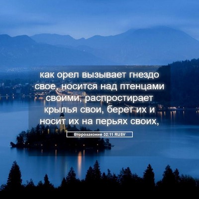 Picture 05 - Второзаконие 32:11 RUSV - как орел вызывает гнездо - Bible Verse Picture
