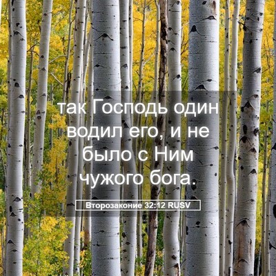 Picture 05 - Второзаконие 32:12 RUSV - так Господь один водил его, - Bible Verse Picture