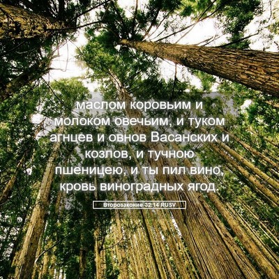 Picture 05 - Второзаконие 32:14 RUSV - маслом коровьим и молоком - Bible Verse Picture