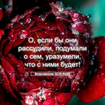Picture 05 - Второзаконие 32:29 RUSV - О, если бы они рассудили, - Bible Verse Picture
