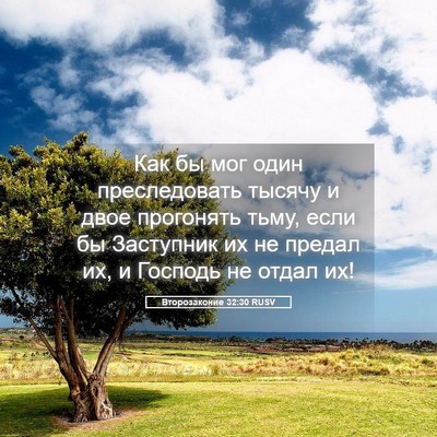 Picture 05 - Второзаконие 32:30 RUSV - Как бы мог один - Bible Verse Picture
