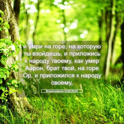 Picture 05 - Второзаконие 32:50 RUSV - и умри на горе, на которую - Bible Verse Picture