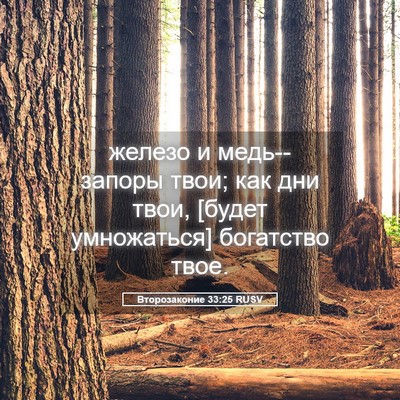 Picture 05 - Второзаконие 33:25 RUSV - железо и медь--запоры твои; - Bible Verse Picture