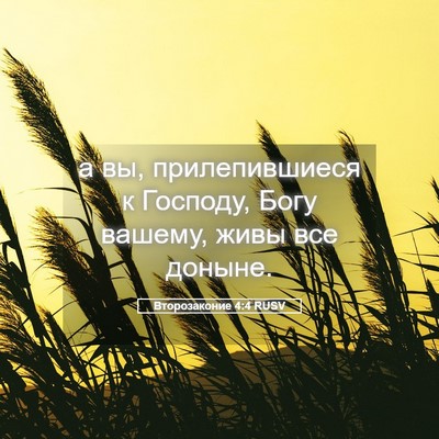 Picture 05 - Второзаконие 4:4 RUSV - а вы, прилепившиеся к - Bible Verse Picture