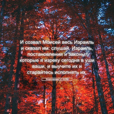 Picture 05 - Второзаконие 5:1 RUSV - И созвал Моисей весь - Bible Verse Picture