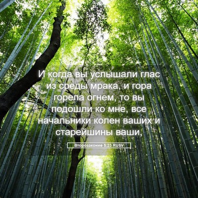 Picture 05 - Второзаконие 5:23 RUSV - И когда вы услышали глас из - Bible Verse Picture