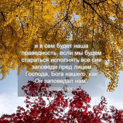 Picture 05 - Второзаконие 6:25 RUSV - и в сем будет наша - Bible Verse Picture