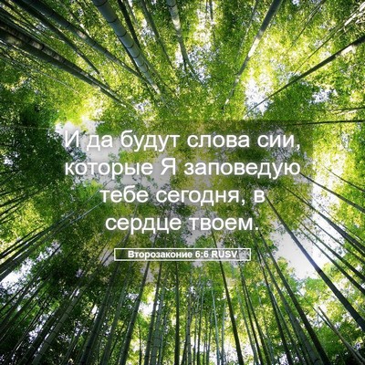 Picture 05 - Второзаконие 6:6 RUSV - И да будут слова сии, - Bible Verse Picture