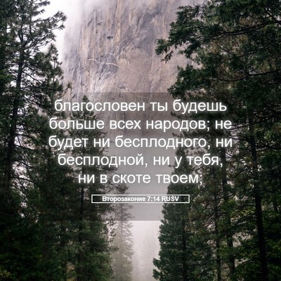 Picture 05 - Второзаконие 7:14 RUSV - благословен ты будешь - Bible Verse Picture