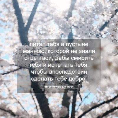 Picture 05 - Второзаконие 8:16 RUSV - питал тебя в пустыне - Bible Verse Picture