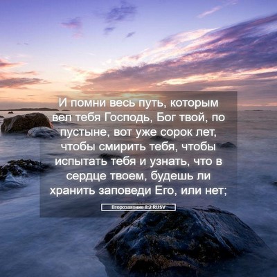Picture 05 - Второзаконие 8:2 RUSV - И помни весь путь, которым - Bible Verse Picture
