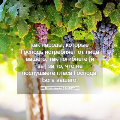 Picture 05 - Второзаконие 8:20 RUSV - как народы, которые - Bible Verse Picture