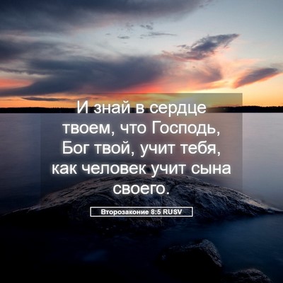 Picture 05 - Второзаконие 8:5 RUSV - И знай в сердце твоем, что - Bible Verse Picture