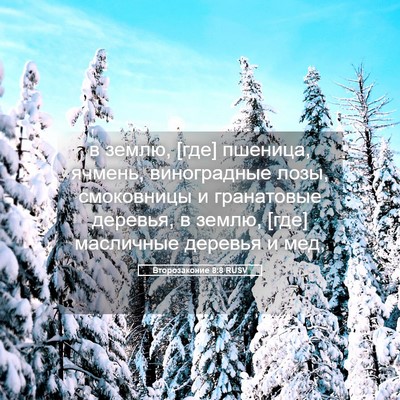 Picture 05 - Второзаконие 8:8 RUSV - в землю, [где] пшеница, - Bible Verse Picture