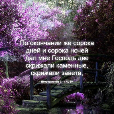 Picture 05 - Второзаконие 9:11 RUSV - По окончании же сорока - Bible Verse Picture