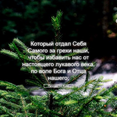 Picture 05 - Галатам 1:4 RUSV - Который отдал Себя Самого - Bible Verse Picture