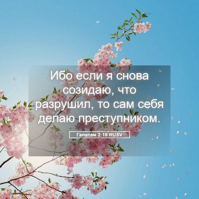 Picture 05 - Галатам 2:18 RUSV - Ибо если я снова созидаю, - Bible Verse Picture