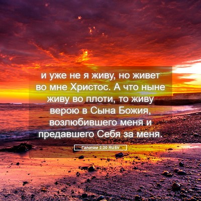 Picture 05 - Галатам 2:20 RUSV - и уже не я живу, но живет во - Bible Verse Picture