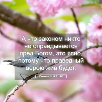 Picture 05 - Галатам 3:11 RUSV - А что законом никто не - Bible Verse Picture