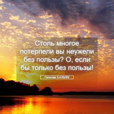 Picture 05 - Галатам 3:4 RUSV - Столь многое потерпели вы - Bible Verse Picture