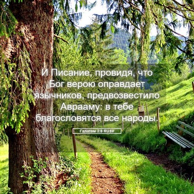 Picture 05 - Галатам 3:8 RUSV - И Писание, провидя, что Бог - Bible Verse Picture