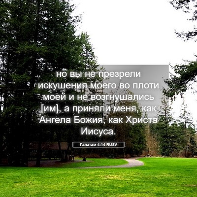Picture 05 - Галатам 4:14 RUSV - но вы не презрели - Bible Verse Picture