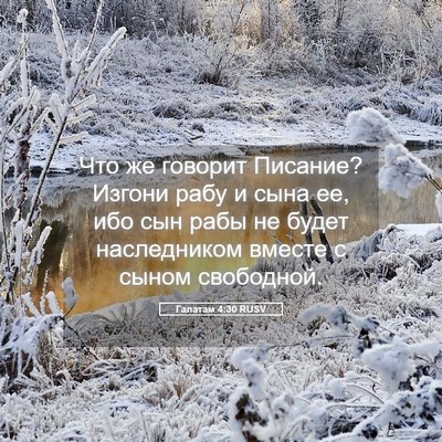 Picture 05 - Галатам 4:30 RUSV - Что же говорит Писание? - Bible Verse Picture