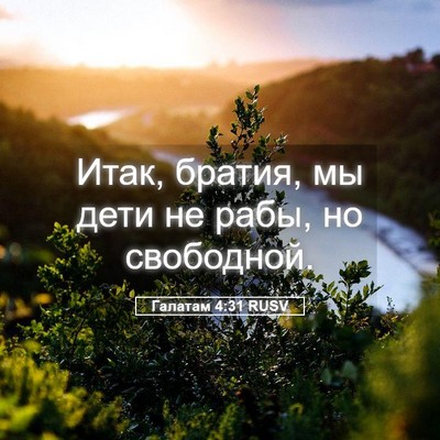 Picture 05 - Галатам 4:31 RUSV - Итак, братия, мы дети не - Bible Verse Picture