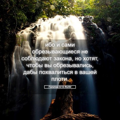 Picture 05 - Галатам 6:13 RUSV - ибо и сами обрезывающиеся - Bible Verse Picture