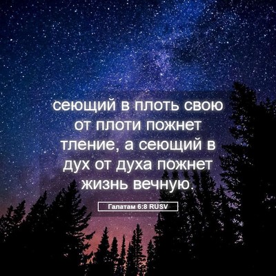Picture 05 - Галатам 6:8 RUSV - сеющий в плоть свою от - Bible Verse Picture