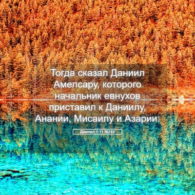 Picture 05 - Даниил 1:11 RUSV - Тогда сказал Даниил - Bible Verse Picture