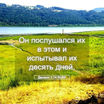 Picture 05 - Даниил 1:14 RUSV - Он послушался их в этом и - Bible Verse Picture