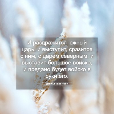 Picture 05 - Даниил 11:11 RUSV - И раздражится южный царь, и - Bible Verse Picture