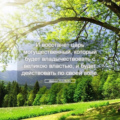 Picture 05 - Даниил 11:3 RUSV - И восстанет царь - Bible Verse Picture