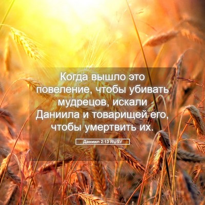 Picture 05 - Даниил 2:13 RUSV - Когда вышло это повеление, - Bible Verse Picture
