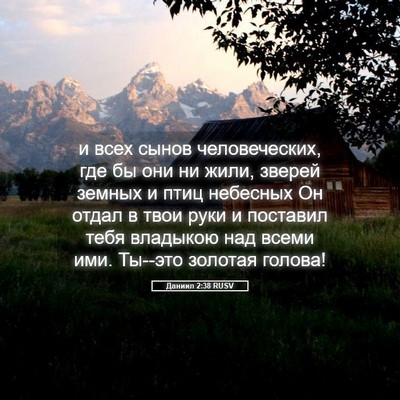 Picture 05 - Даниил 2:38 RUSV - и всех сынов человеческих, - Bible Verse Picture