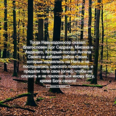 Picture 05 - Даниил 3:28 RUSV - Тогда Навуходоносор - Bible Verse Picture