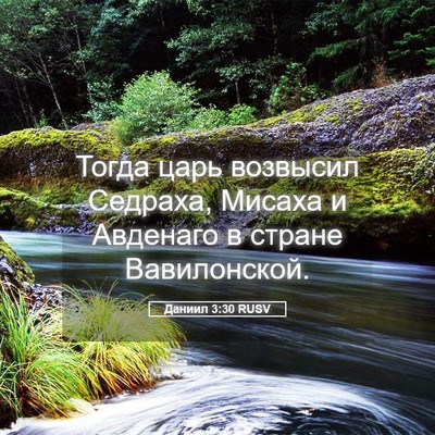 Picture 05 - Даниил 3:30 RUSV - Тогда царь возвысил - Bible Verse Picture